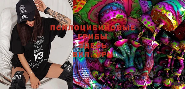 ПСИЛОЦИБИНОВЫЕ ГРИБЫ Абдулино