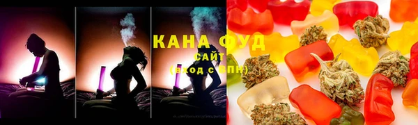 мдпв Осташков