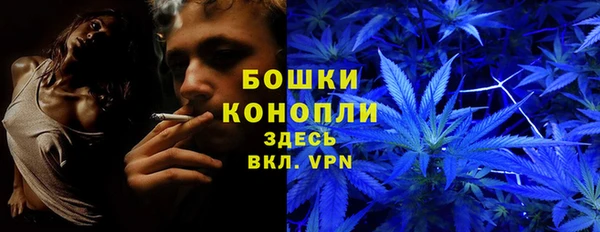 ПСИЛОЦИБИНОВЫЕ ГРИБЫ Абдулино